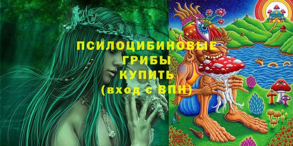 бутират Алексеевка