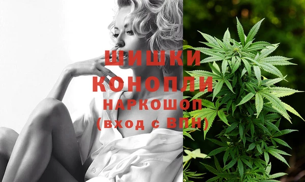 PSILOCYBIN Алексин