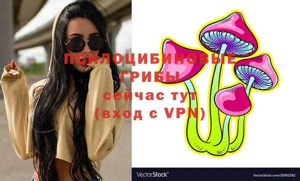 МДПВ Алзамай